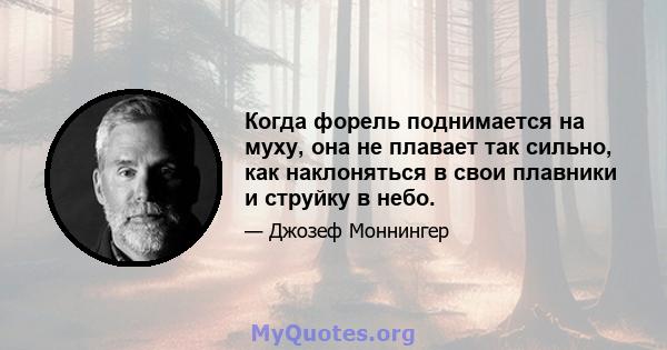 Когда форель поднимается на муху, она не плавает так сильно, как наклоняться в свои плавники и струйку в небо.