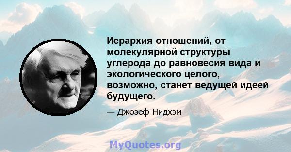 Иерархия отношений, от молекулярной структуры углерода до равновесия вида и экологического целого, возможно, станет ведущей идеей будущего.