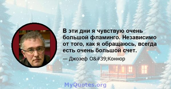 В эти дни я чувствую очень большой фламинго. Независимо от того, как я обращаюсь, всегда есть очень большой счет.