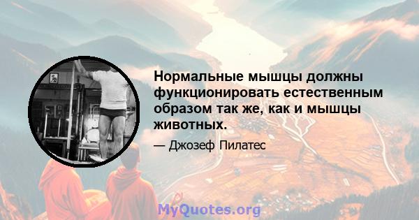 Нормальные мышцы должны функционировать естественным образом так же, как и мышцы животных.