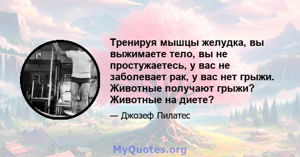 Тренируя мышцы желудка, вы выжимаете тело, вы не простужаетесь, у вас не заболевает рак, у вас нет грыжи. Животные получают грыжи? Животные на диете?