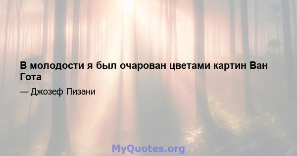 В молодости я был очарован цветами картин Ван Гота