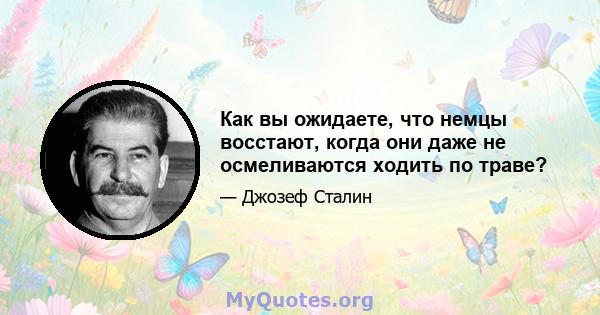 Как вы ожидаете, что немцы восстают, когда они даже не осмеливаются ходить по траве?