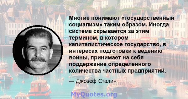 Многие понимают «государственный социализм» таким образом. Иногда система скрывается за этим термином, в котором капиталистическое государство, в интересах подготовки к ведению войны, принимает на себя поддержание