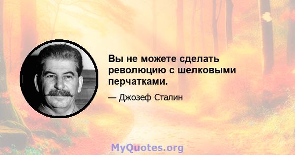 Вы не можете сделать революцию с шелковыми перчатками.