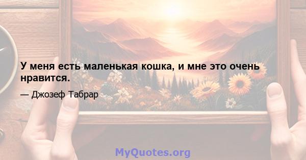 У меня есть маленькая кошка, и мне это очень нравится.