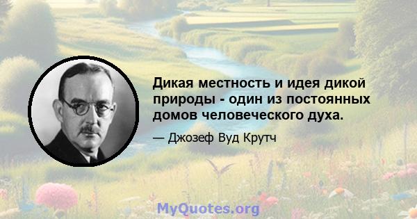 Дикая местность и идея дикой природы - один из постоянных домов человеческого духа.