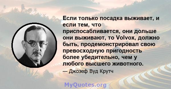 Если только посадка выживает, и если тем, что приспосабливается, они дольше они выживают, то Volvox, должно быть, продемонстрировал свою превосходную пригодность более убедительно, чем у любого высшего животного.