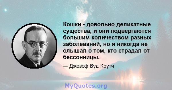 Кошки - довольно деликатные существа, и они подвергаются большим количеством разных заболеваний, но я никогда не слышал о том, кто страдал от бессонницы.