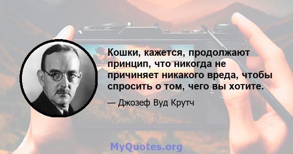 Кошки, кажется, продолжают принцип, что никогда не причиняет никакого вреда, чтобы спросить о том, чего вы хотите.