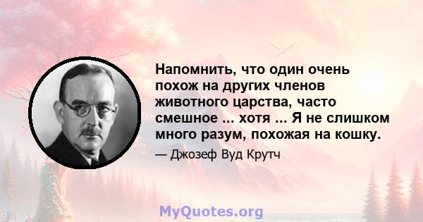 Напомнить, что один очень похож на других членов животного царства, часто смешное ... хотя ... Я не слишком много разум, похожая на кошку.