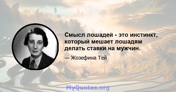 Смысл лошадей - это инстинкт, который мешает лошадям делать ставки на мужчин.