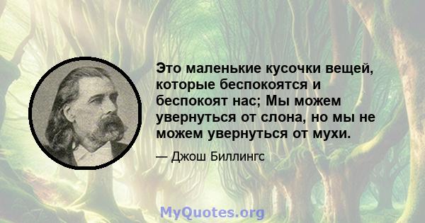 Это маленькие кусочки вещей, которые беспокоятся и беспокоят нас; Мы можем увернуться от слона, но мы не можем увернуться от мухи.