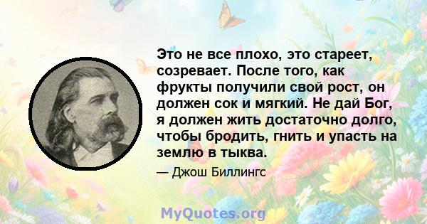 Это не все плохо, это стареет, созревает. После того, как фрукты получили свой рост, он должен сок и мягкий. Не дай Бог, я должен жить достаточно долго, чтобы бродить, гнить и упасть на землю в тыква.