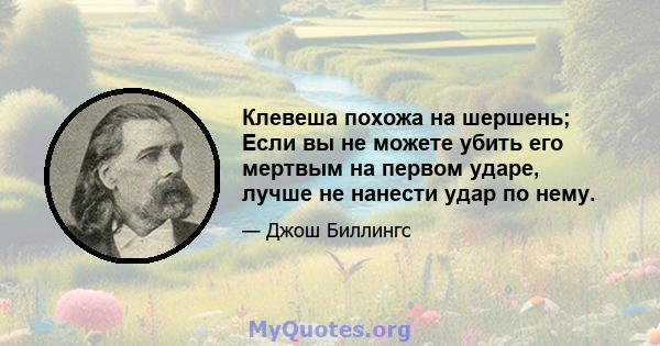 Клевеша похожа на шершень; Если вы не можете убить его мертвым на первом ударе, лучше не нанести удар по нему.