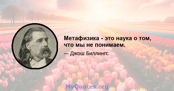 Метафизика - это наука о том, что мы не понимаем.