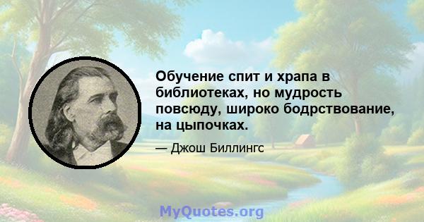 Обучение спит и храпа в библиотеках, но мудрость повсюду, широко бодрствование, на цыпочках.