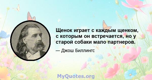 Щенок играет с каждым щенком, с которым он встречается, но у старой собаки мало партнеров.