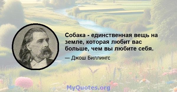 Собака - единственная вещь на земле, которая любит вас больше, чем вы любите себя.