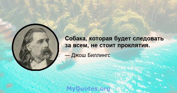 Собака, которая будет следовать за всем, не стоит проклятия.