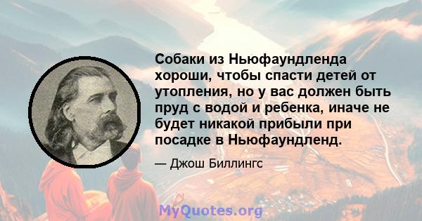 Собаки из Ньюфаундленда хороши, чтобы спасти детей от утопления, но у вас должен быть пруд с водой и ребенка, иначе не будет никакой прибыли при посадке в Ньюфаундленд.