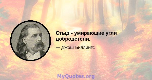 Стыд - умирающие угли добродетели.