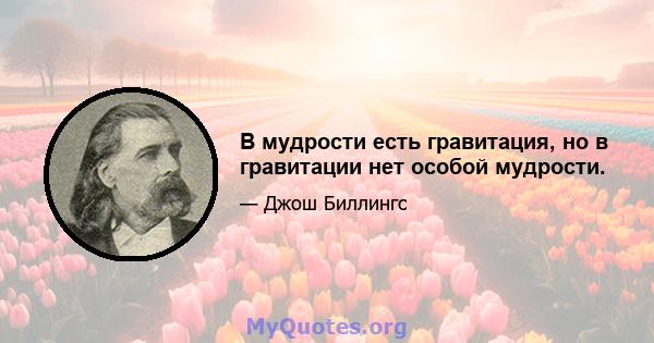 В мудрости есть гравитация, но в гравитации нет особой мудрости.