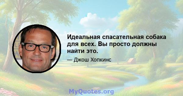 Идеальная спасательная собака для всех. Вы просто должны найти это.