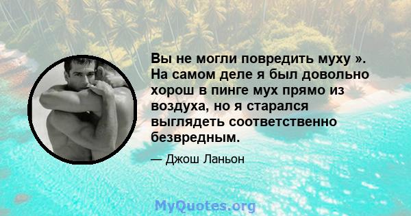 Вы не могли повредить муху ». На самом деле я был довольно хорош в пинге мух прямо из воздуха, но я старался выглядеть соответственно безвредным.