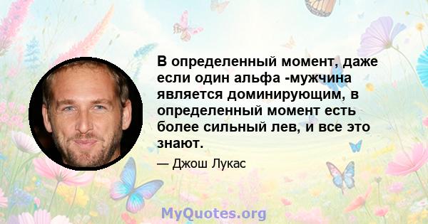 В определенный момент, даже если один альфа -мужчина является доминирующим, в определенный момент есть более сильный лев, и все это знают.