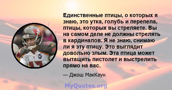 Единственные птицы, о которых я знаю, это утка, голубь и перепела, птицы, которых вы стреляете. Вы на самом деле не должны стрелять в кардиналов. Я не знаю, снимаю ли я эту птицу. Это выглядит довольно злым. Эта птица