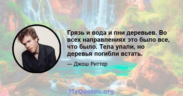 Грязь и вода и пни деревьев. Во всех направлениях это было все, что было. Тела упали, но деревья погибли встать.