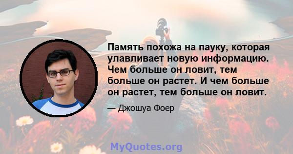 Память похожа на пауку, которая улавливает новую информацию. Чем больше он ловит, тем больше он растет. И чем больше он растет, тем больше он ловит.