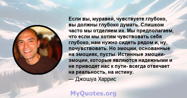 Если вы, муравей, чувствуете глубоко, вы должны глубоко думать. Слишком часто мы отделяем их. Мы предполагаем, что если мы хотим чувствовать себя глубоко, нам нужно сидеть рядом и, ну, почувствовать. Но эмоции,