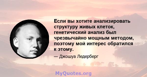 Если вы хотите анализировать структуру живых клеток, генетический анализ был чрезвычайно мощным методом, поэтому мой интерес обратился к этому.