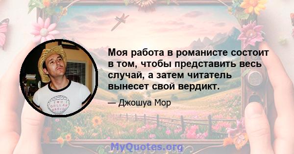 Моя работа в романисте состоит в том, чтобы представить весь случай, а затем читатель вынесет свой вердикт.