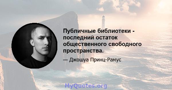 Публичные библиотеки - последний остаток общественного свободного пространства.