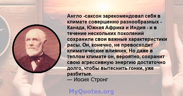 Англо -саксон зарекомендовал себя в климате совершенно разнообразных - Канада, Южная Африка и Индия - и в течение нескольких поколений сохранили свои важные характеристики расы. Он, конечно, не превосходит климатические 