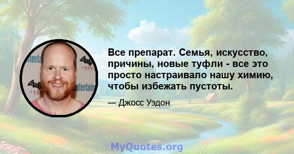 Все препарат. Семья, искусство, причины, новые туфли - все это просто настраивало нашу химию, чтобы избежать пустоты.