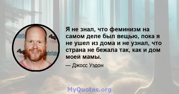 Я не знал, что феминизм на самом деле был вещью, пока я не ушел из дома и не узнал, что страна не бежала так, как и дом моей мамы.