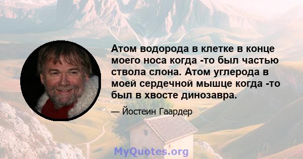 Атом водорода в клетке в конце моего носа когда -то был частью ствола слона. Атом углерода в моей сердечной мышце когда -то был в хвосте динозавра.