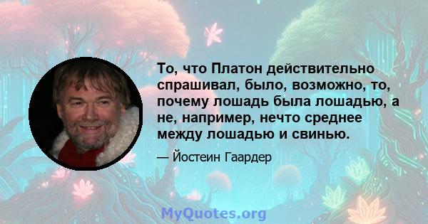 То, что Платон действительно спрашивал, было, возможно, то, почему лошадь была лошадью, а не, например, нечто среднее между лошадью и свинью.