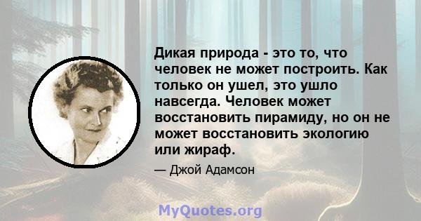 Дикая природа - это то, что человек не может построить. Как только он ушел, это ушло навсегда. Человек может восстановить пирамиду, но он не может восстановить экологию или жираф.