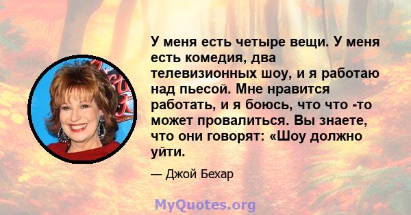 У меня есть четыре вещи. У меня есть комедия, два телевизионных шоу, и я работаю над пьесой. Мне нравится работать, и я боюсь, что что -то может провалиться. Вы знаете, что они говорят: «Шоу должно уйти.