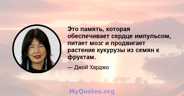 Это память, которая обеспечивает сердце импульсом, питает мозг и продвигает растение кукурузы из семян к фруктам.