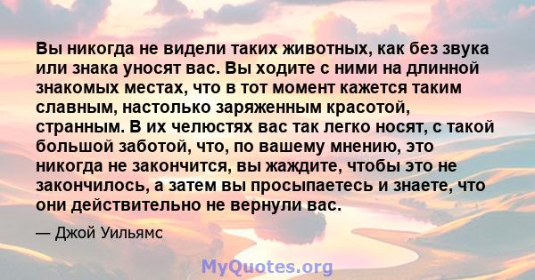 Вы никогда не видели таких животных, как без звука или знака уносят вас. Вы ходите с ними на длинной знакомых местах, что в тот момент кажется таким славным, настолько заряженным красотой, странным. В их челюстях вас