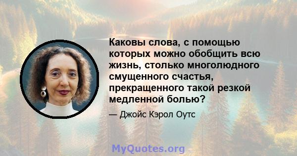 Каковы слова, с помощью которых можно обобщить всю жизнь, столько многолюдного смущенного счастья, прекращенного такой резкой медленной болью?