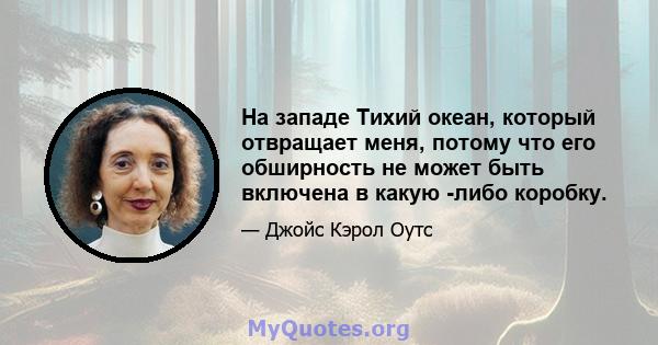 На западе Тихий океан, который отвращает меня, потому что его обширность не может быть включена в какую -либо коробку.