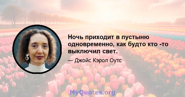 Ночь приходит в пустыню одновременно, как будто кто -то выключил свет.