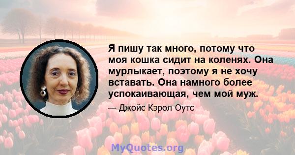 Я пишу так много, потому что моя кошка сидит на коленях. Она мурлыкает, поэтому я не хочу вставать. Она намного более успокаивающая, чем мой муж.